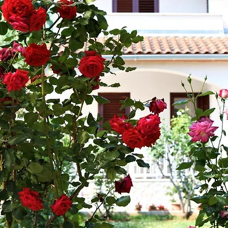 Ferienhaus Magnolia Tar-Vabriga