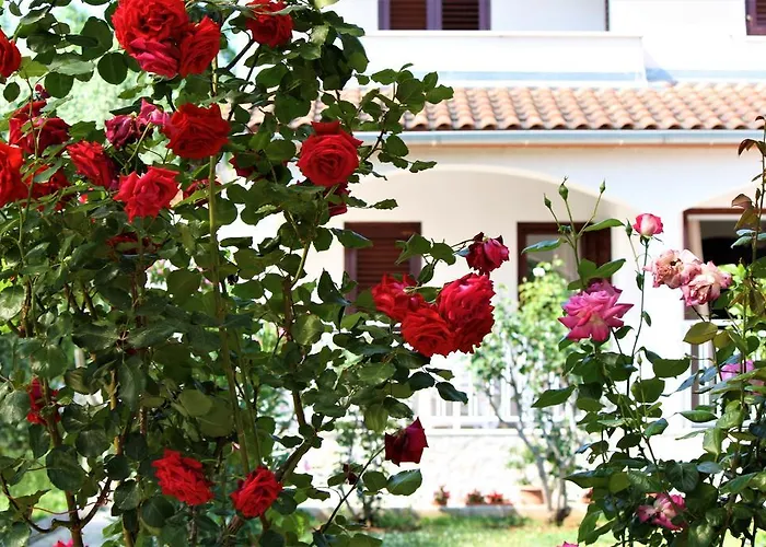 Holiday home Holiday Home Magnolia Tar-Vabriga