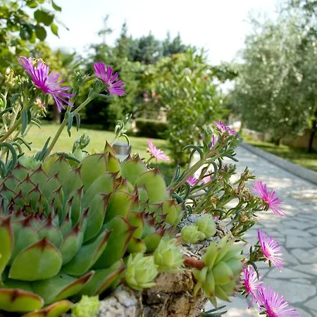 Holiday home Holiday Home Magnolia *